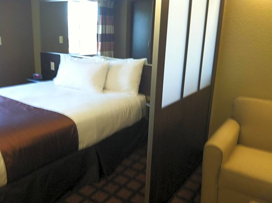 Microtel Inn & Suites By Wyndham Pleasanton