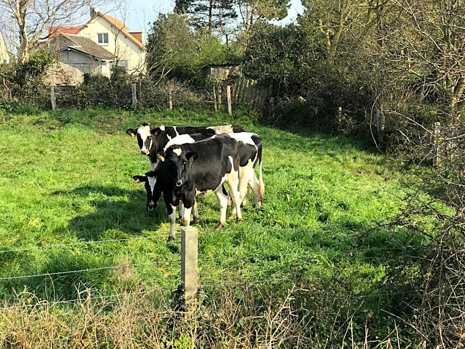 La Villa Port Winston - Face Mer B&B