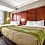 Comfort Inn & Suites Collingwood