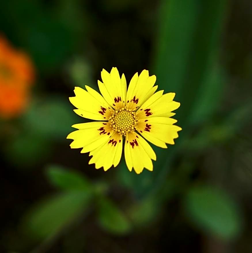 Hotel Mountain View - Lakeside Pokhara