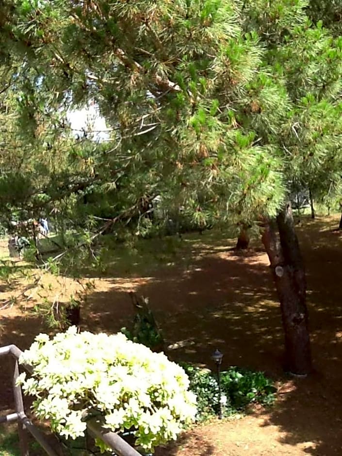 Campo alle Monache