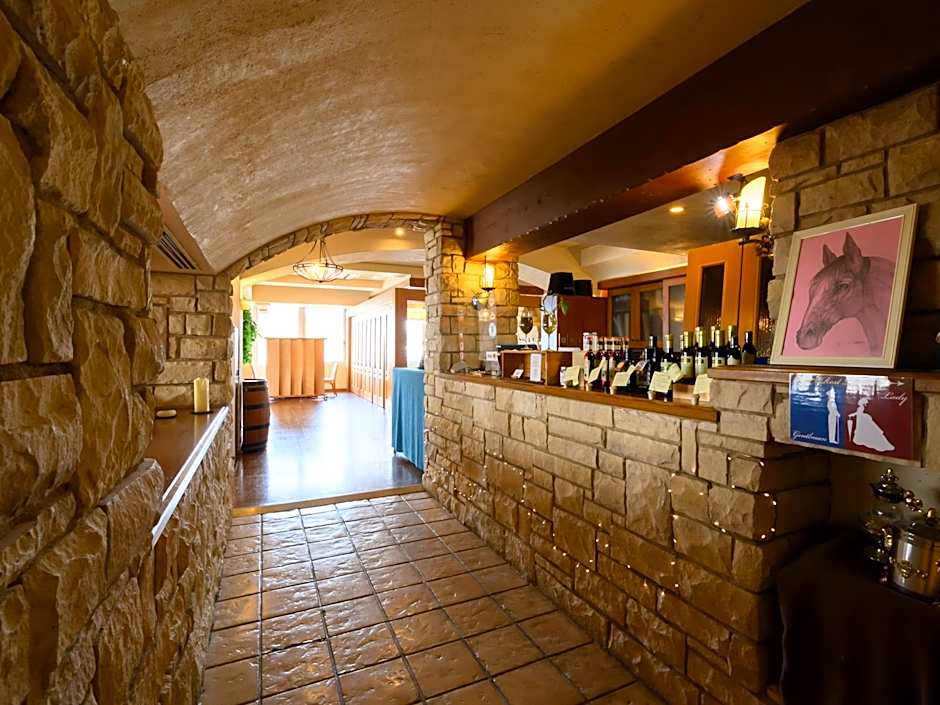 Sabae City Hotel
