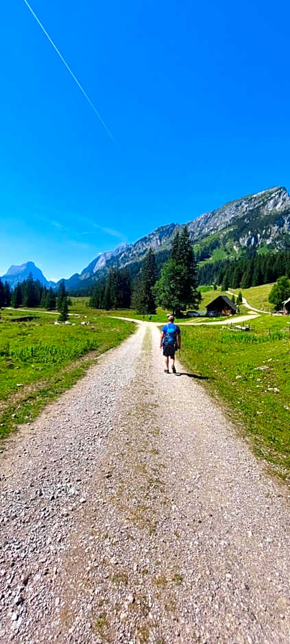 Gasthof International