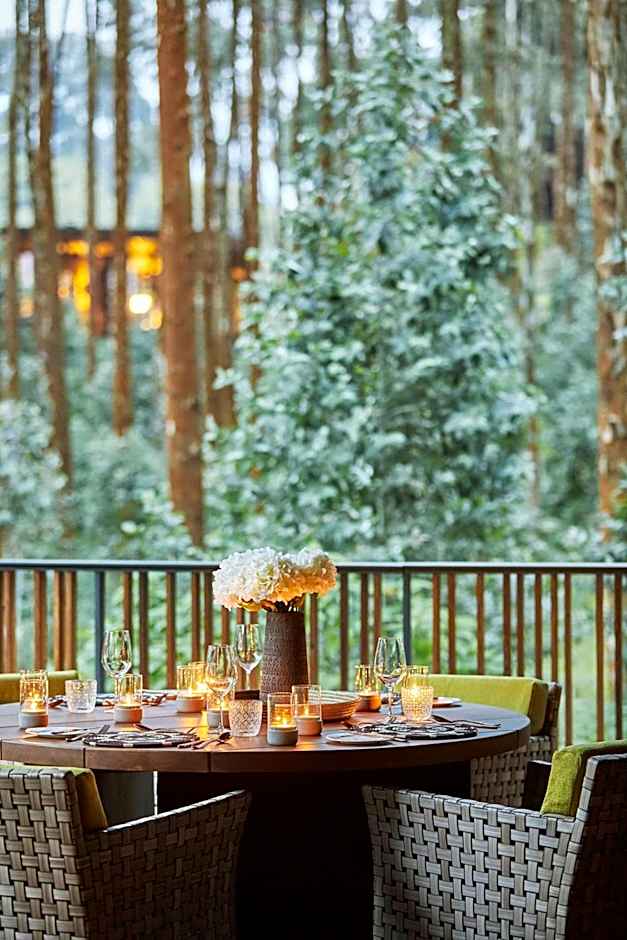 One&Only Gorilla's Nest