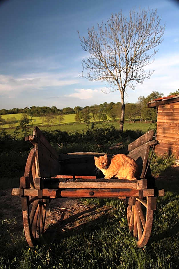 Chambres et Table d'hôtes Il Fut Un Temps...