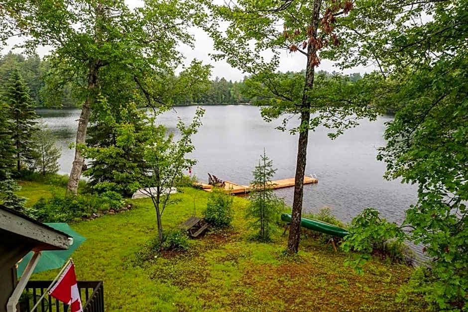 Bear Essentials Hideaway