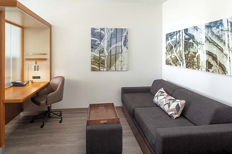 SpringHill Suites by Marriott Midland Odessa