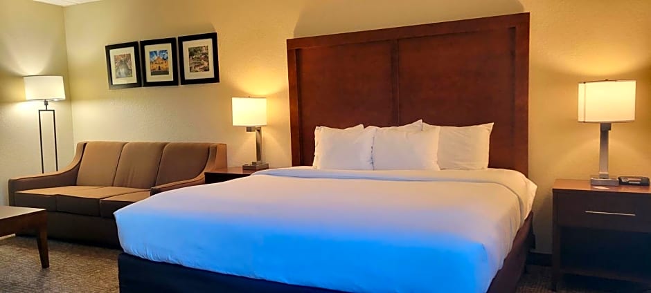 Comfort Inn & Suites San Antonio Airport