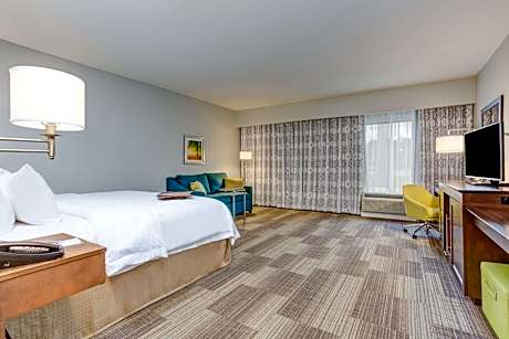 1 King Microwv/Fridge/Wet Bar Studio Suite Ns