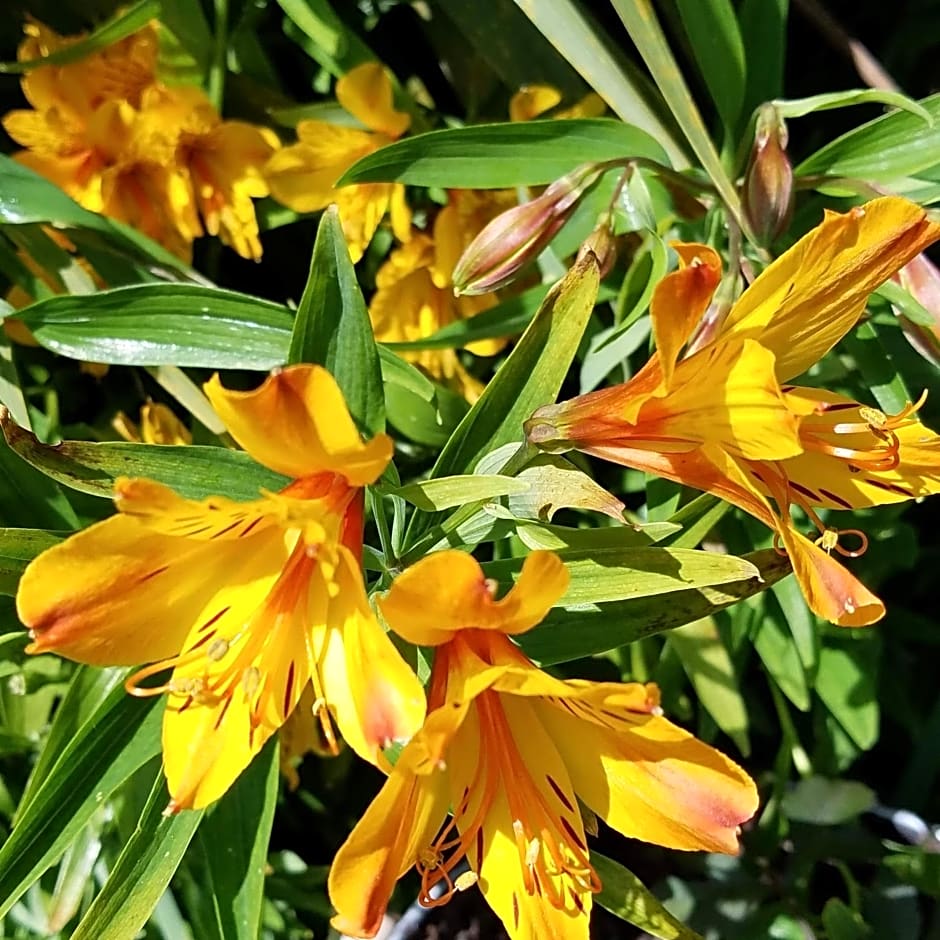 Eden's Rest Bed and Breakfast