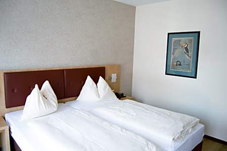 Double Room - Schwan 3