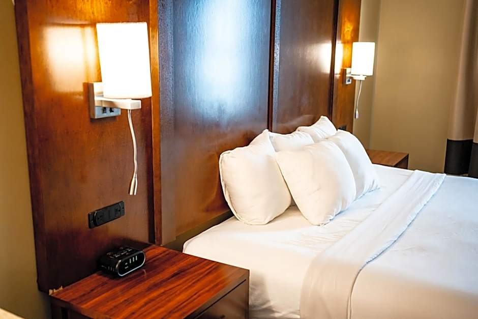 Comfort Suites University