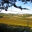 LES BRUYERES chambre d'hôte de charme Calme assuré