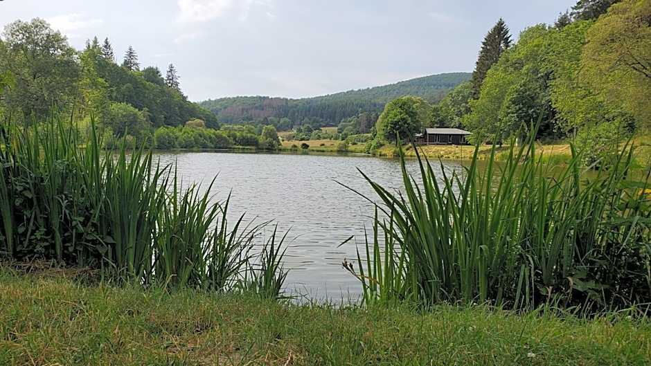Landgasthof Steuber - Hotel garni