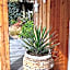 La Cabane Bohème, Maison d'hôtes Bassin d'Arcachon