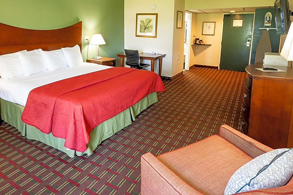 Photo 1 of 4 of Deluxe 1 King Bed, Nonsmoking