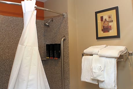 Queen Room with Two Queen Beds and Roll-In Shower- Disability Access/Interior Entrance