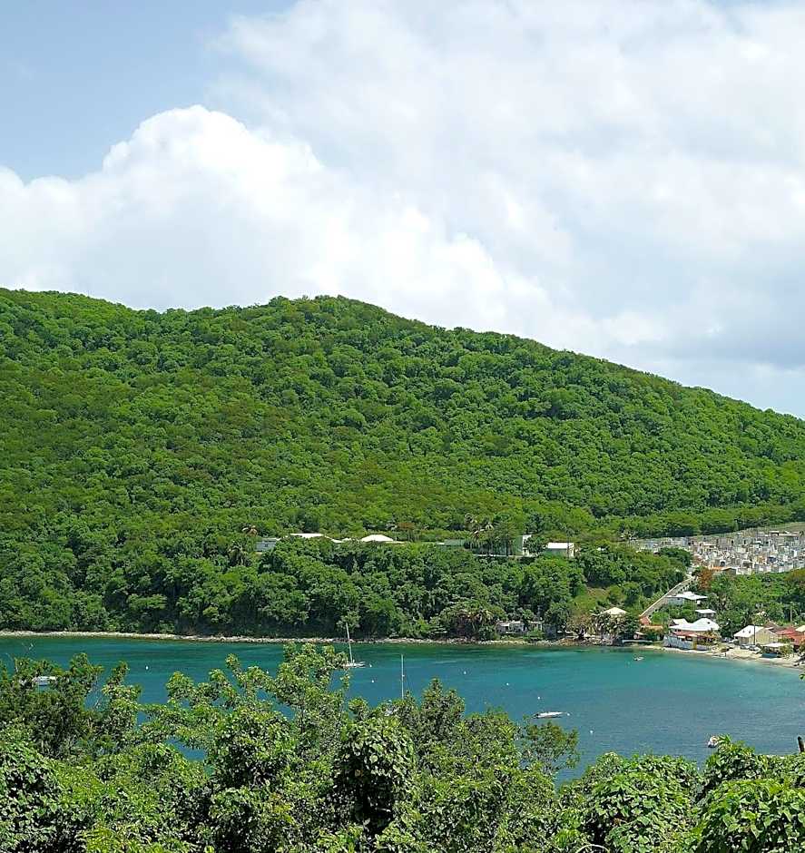 Les Merveilleux Flots de la Mer