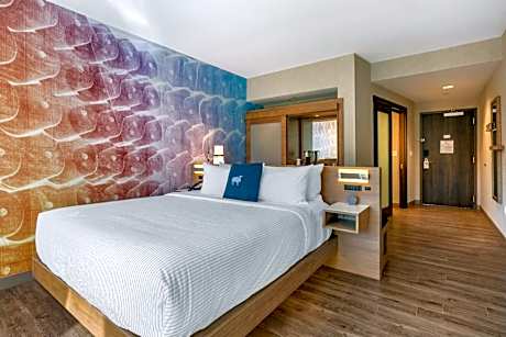 1 King Bed, Efficiency, Suite, Nonsmoking, Accessible