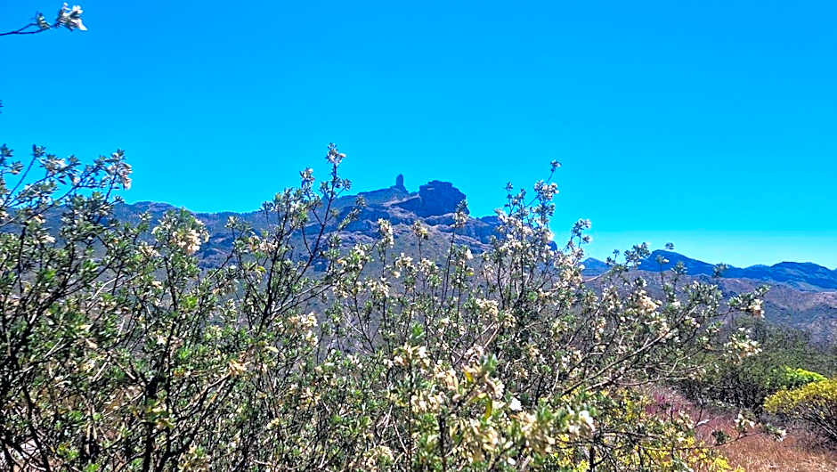 Mountain Hostel&House Finca La Isa by Rose