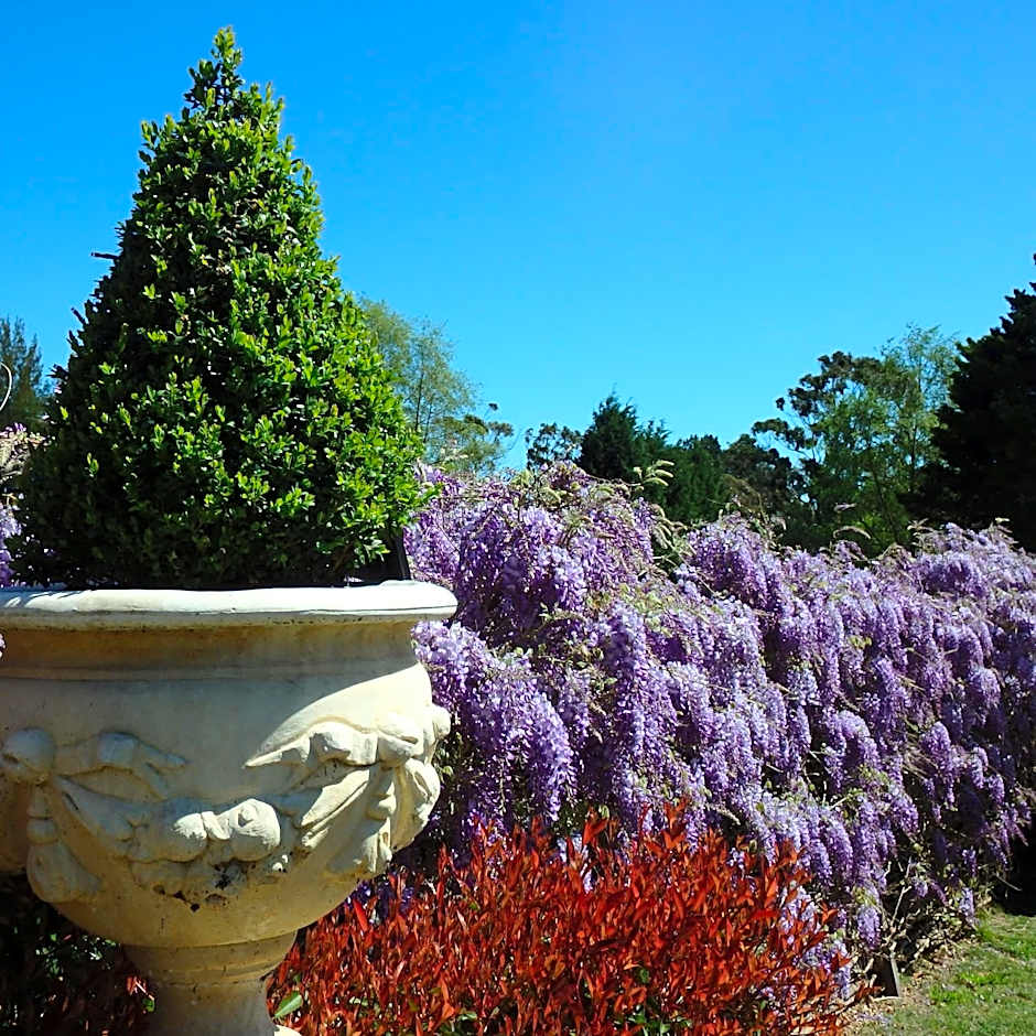 Bowral Road Art Gallery Bed and Breakfast