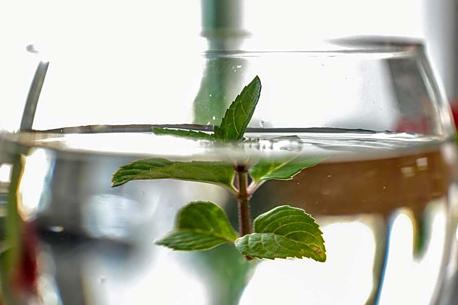 Gästehaus abz Stuttgart