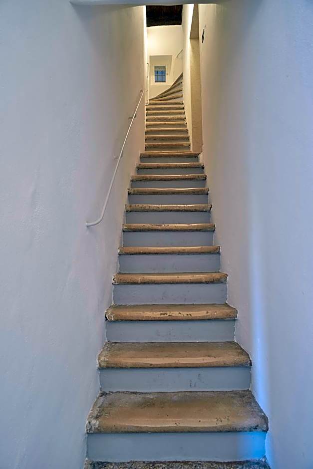 B&B Murex