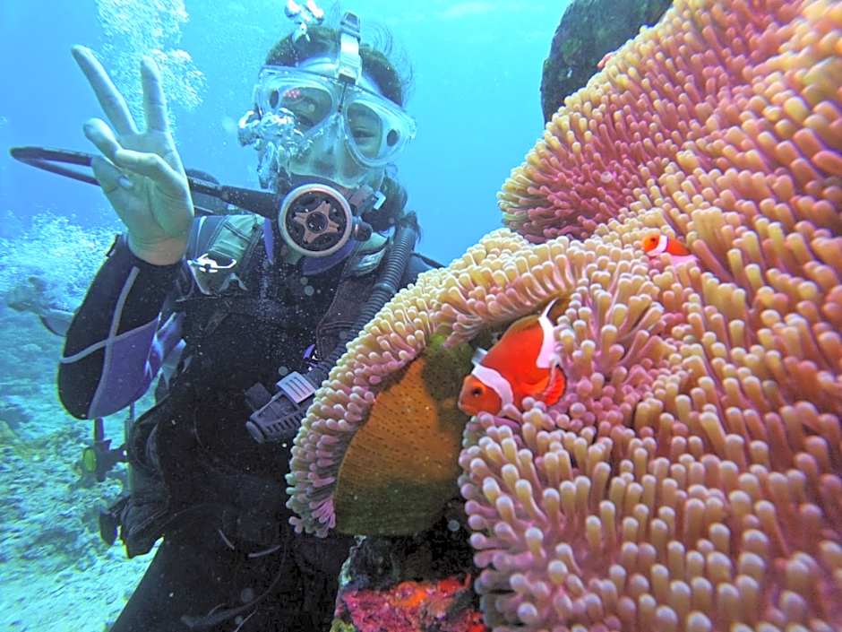 Good Viewing Spot B&B