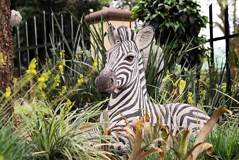 Villa Ticino Guest House