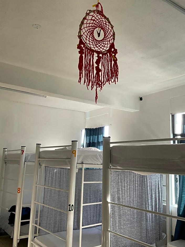 Vive Alegria Hostel