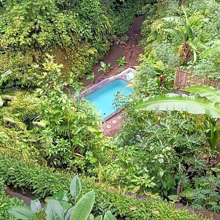 Villa Batari - Artsy Joglo - Private Swimming Pool