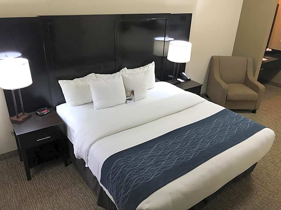 Comfort Inn & Suites Atlanta/Smyrna