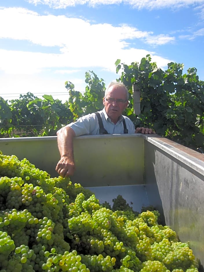 Winzerhof Michael Gartner