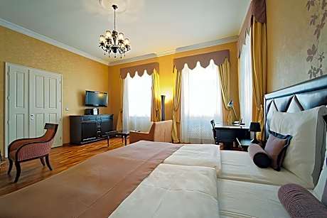 Standard Apartment 1 bedroom