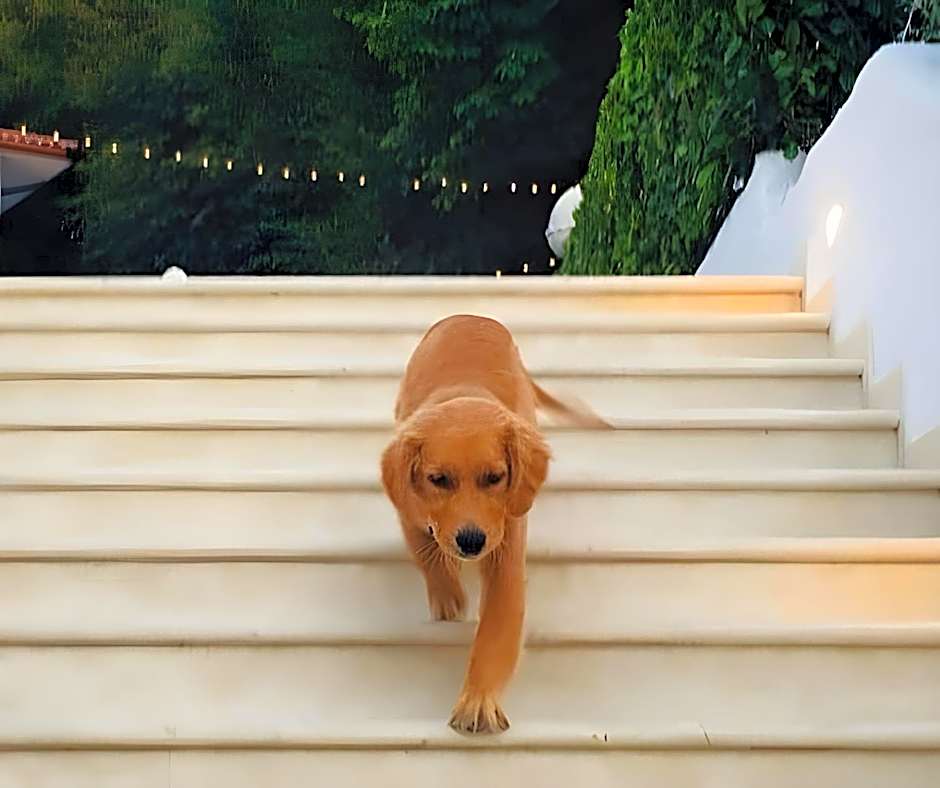 Giardino Dei Pini - Boutique Hotel