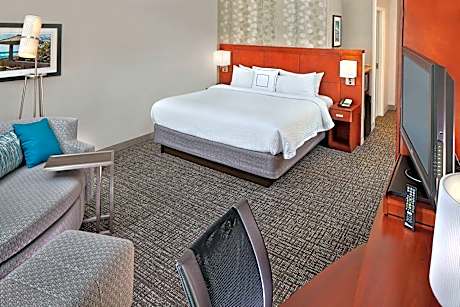 Guest room, 1 King, Sofa bed, Balcony