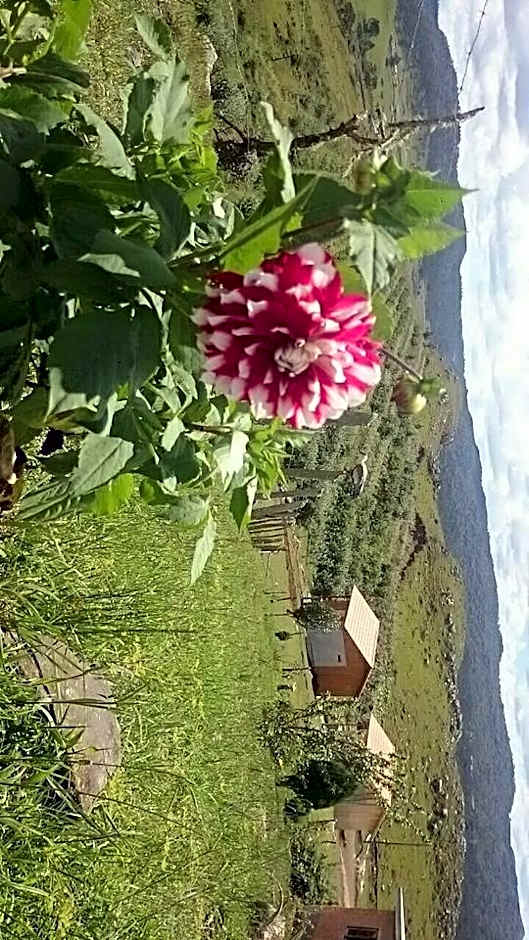 Paraíso Dos Cânions