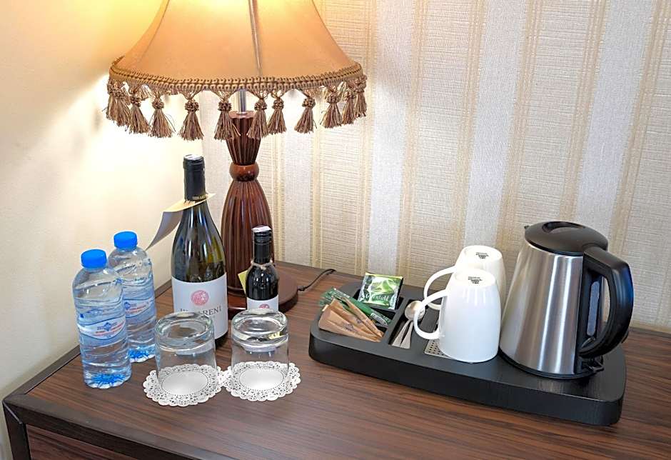 Ani Plaza Hotel