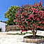 Masseria Fano Relais & Wine