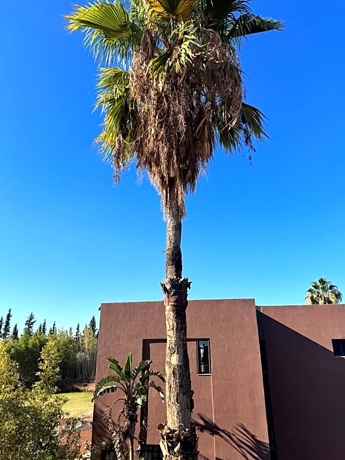 Fellah Hotel