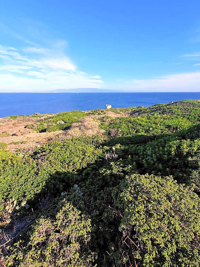 Palmas Anna's rooms Is Procilis