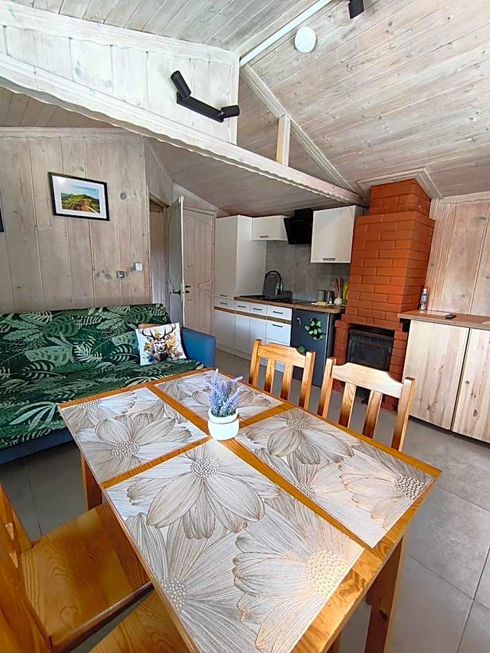 Domki Bieszczadzki Czar Rodzinny 661-850-410
