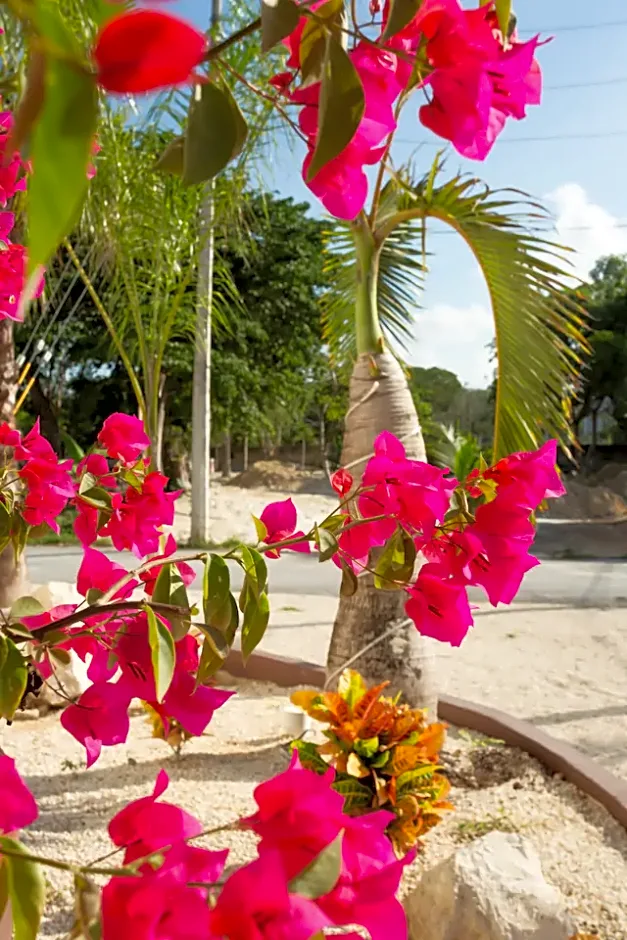 Casa Kaoba Hotel & Suites