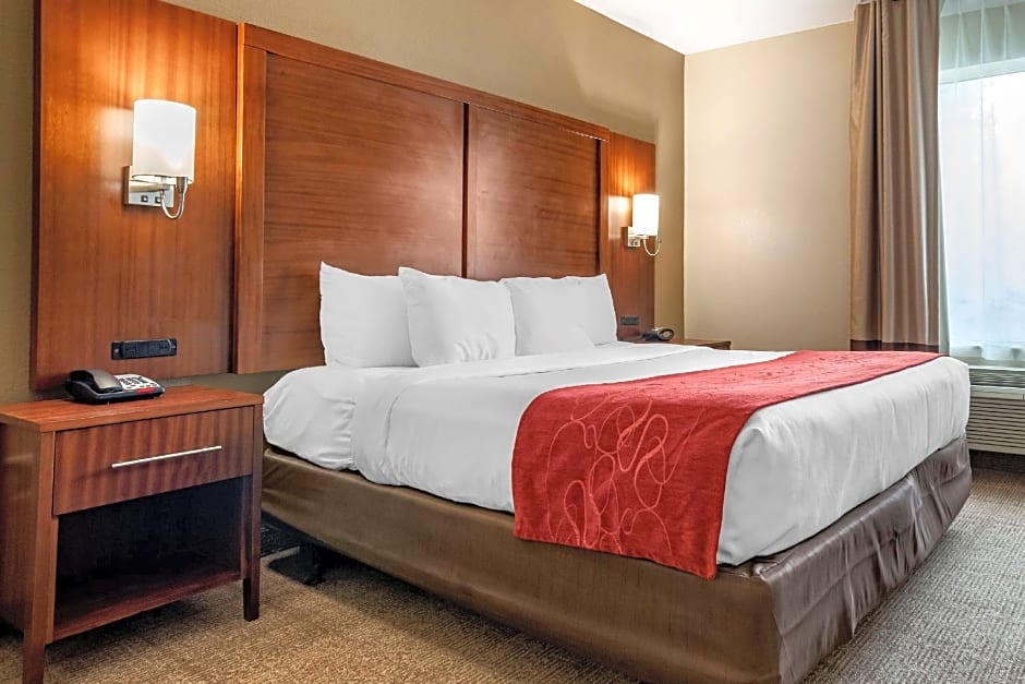 Comfort Suites Flowood - Jackson Airport (must meet transportation requirement)