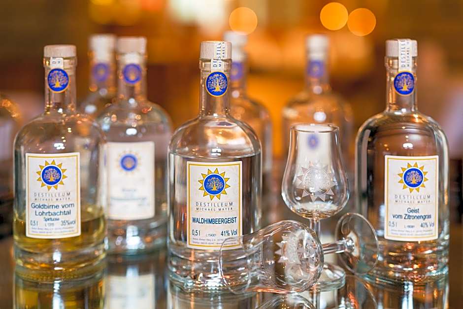 Hotel Villa Marburg im Park