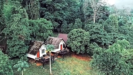 Jungle guest house