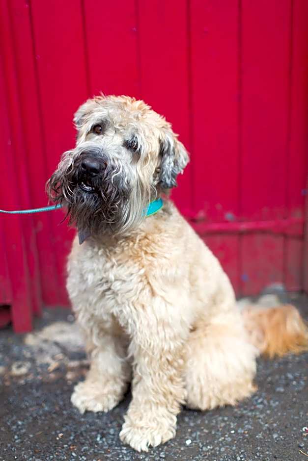 The Inverkip Restaurant, Bar & Hotel