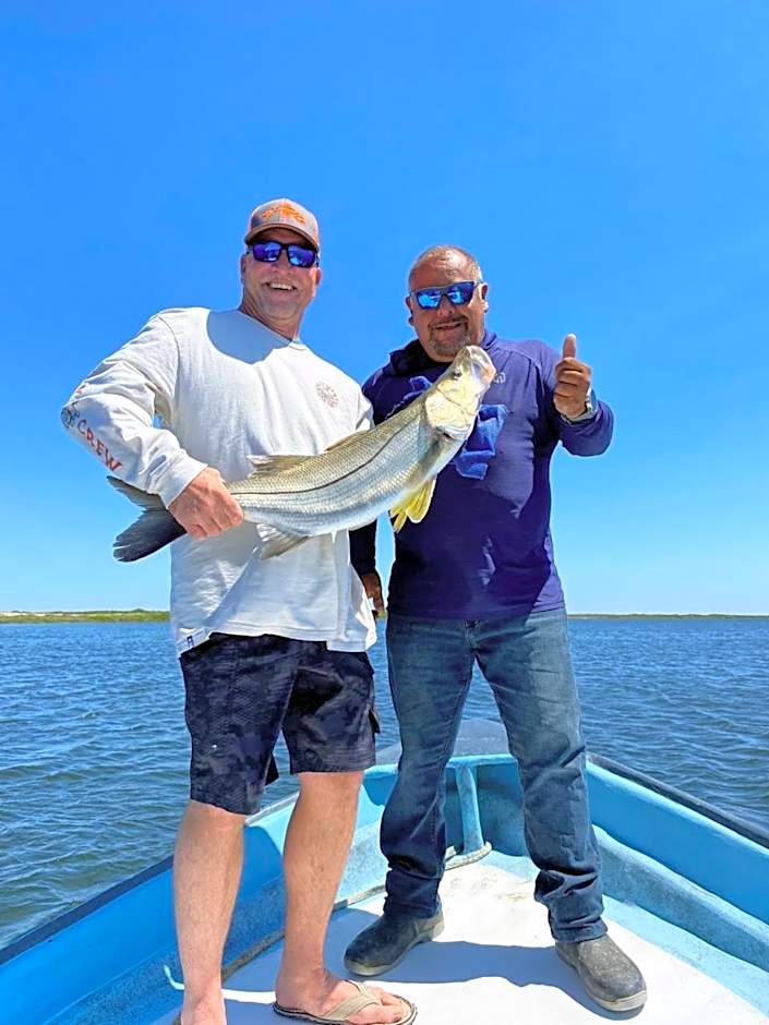 Hotel- Whale Tours and Sport fishing Vista Mag-Bay