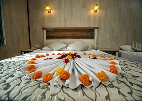 Double Single Use Economy