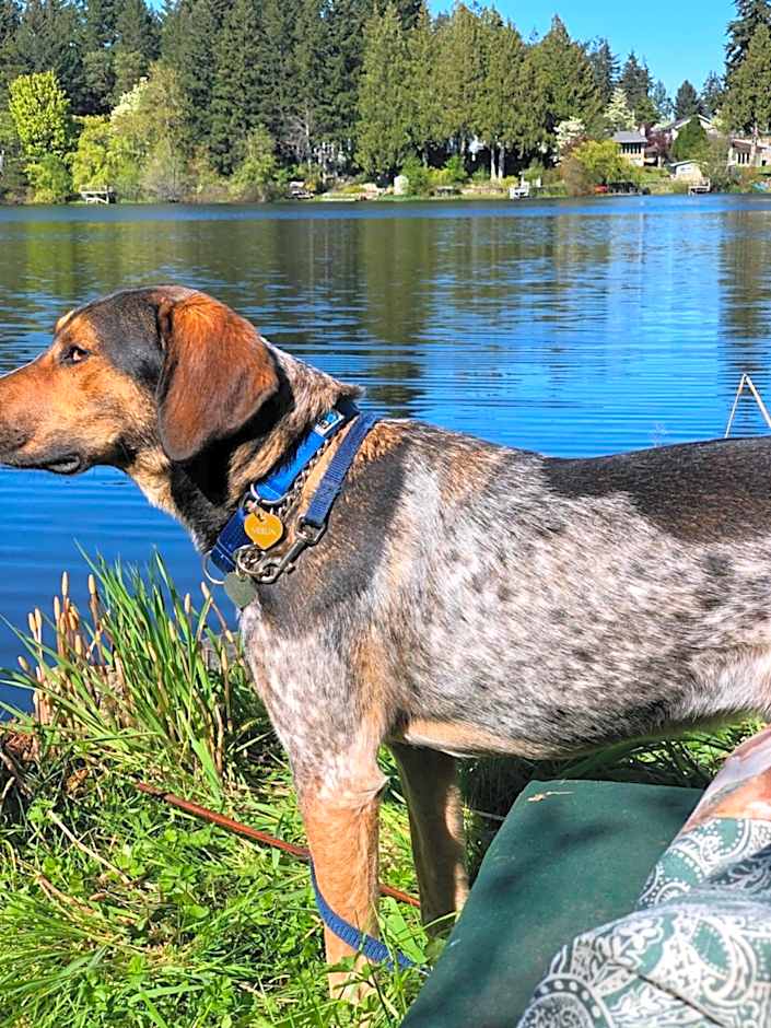 Cycle Inn Bed and Breakfast